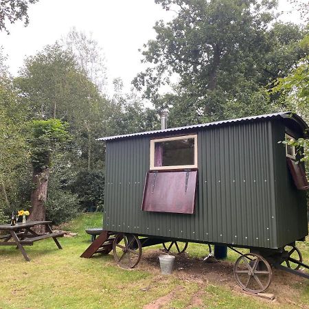 The Shepherd'S Hut - Wild Escapes Wrenbury Off Grid Glamping - Ages 12 And Over Baddiley المظهر الخارجي الصورة