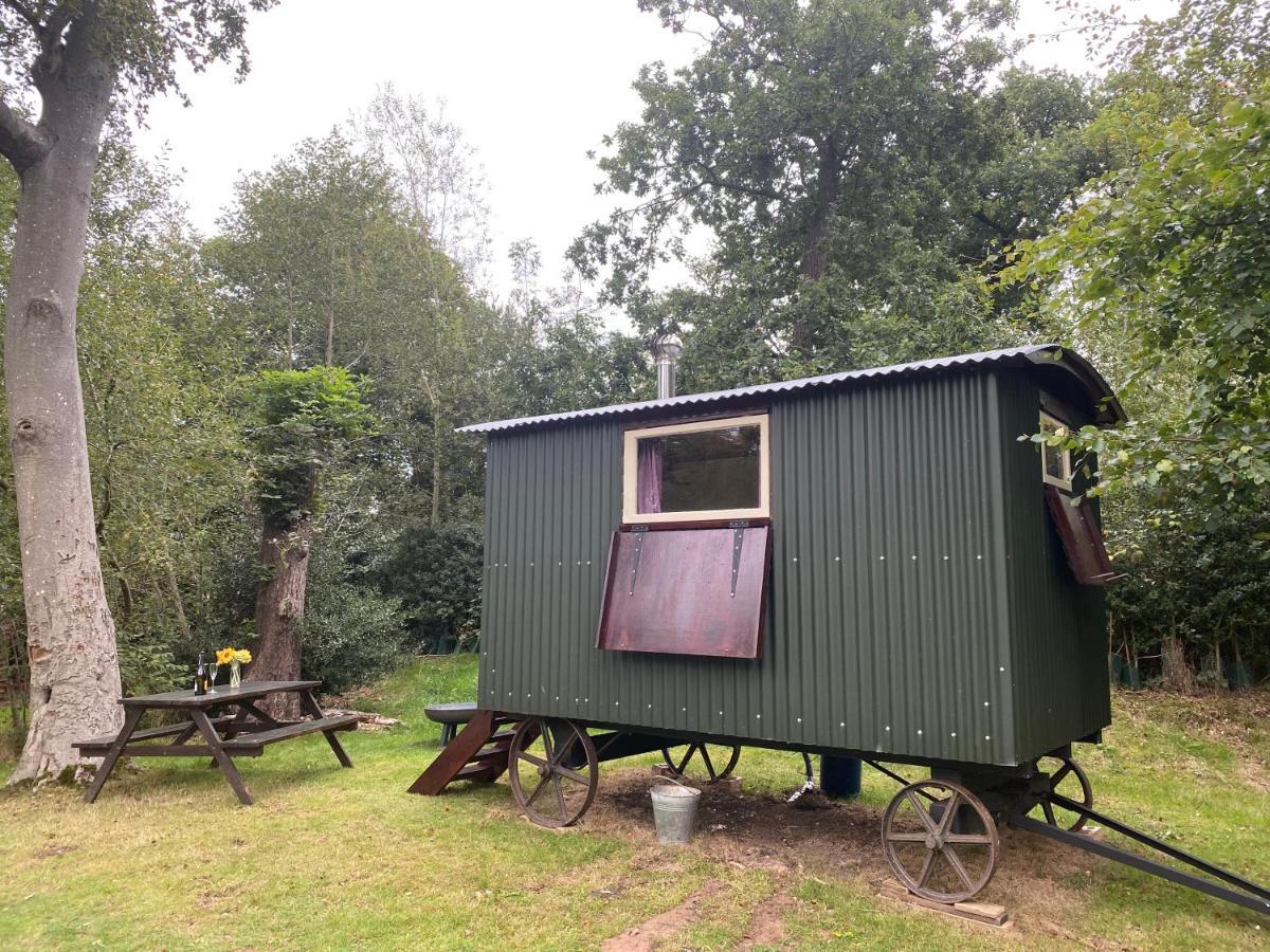 The Shepherd'S Hut - Wild Escapes Wrenbury Off Grid Glamping - Ages 12 And Over Baddiley المظهر الخارجي الصورة