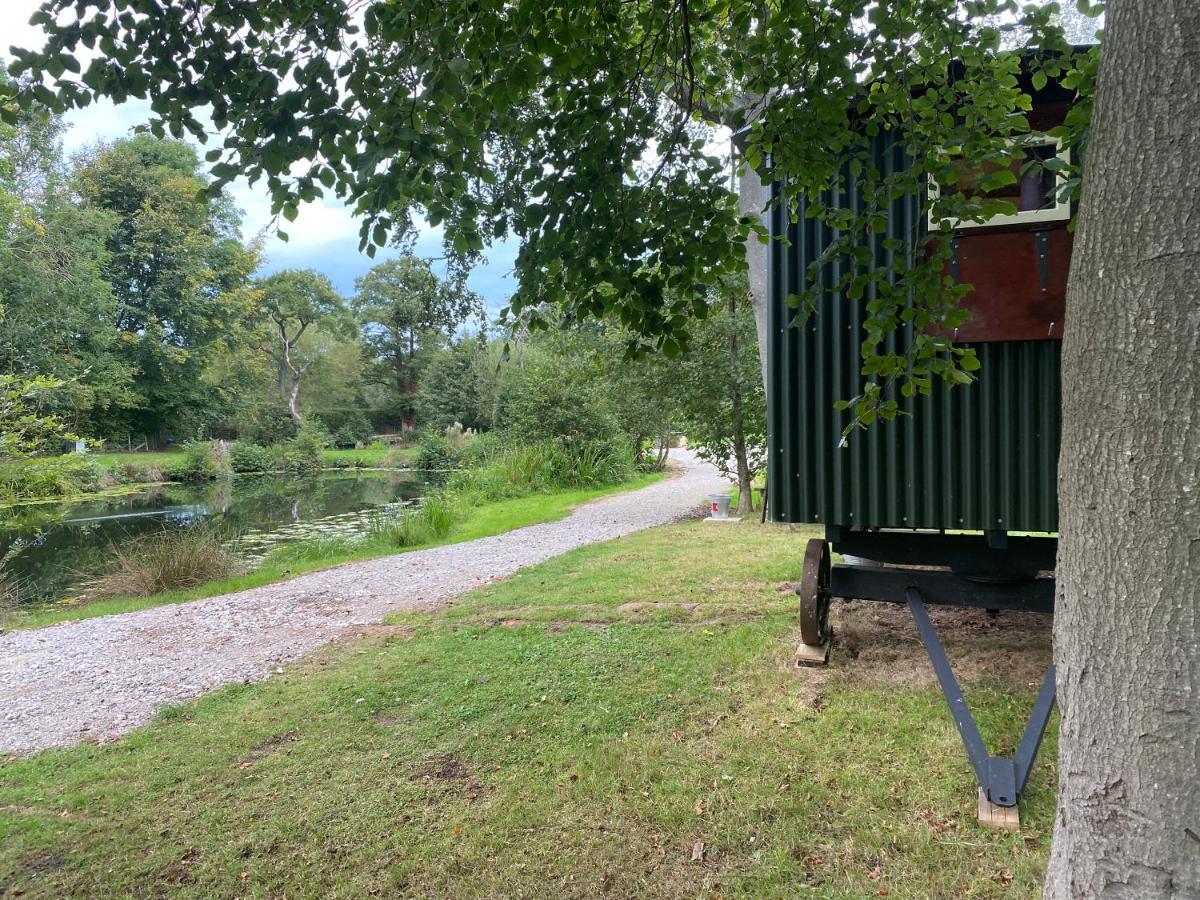 The Shepherd'S Hut - Wild Escapes Wrenbury Off Grid Glamping - Ages 12 And Over Baddiley المظهر الخارجي الصورة