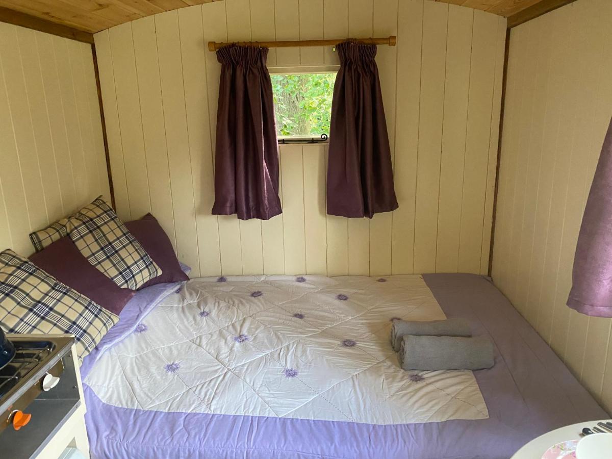 The Shepherd'S Hut - Wild Escapes Wrenbury Off Grid Glamping - Ages 12 And Over Baddiley المظهر الخارجي الصورة