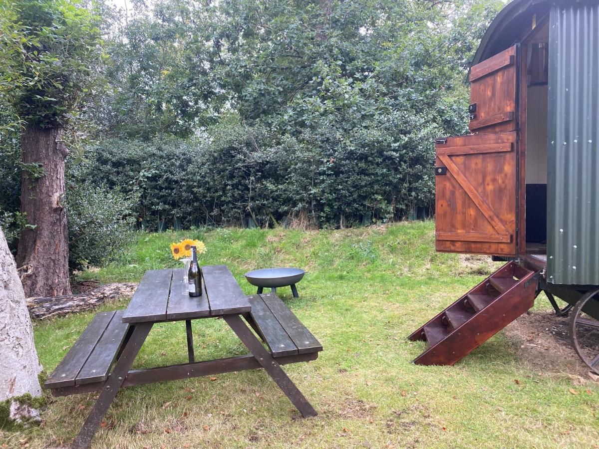 The Shepherd'S Hut - Wild Escapes Wrenbury Off Grid Glamping - Ages 12 And Over Baddiley المظهر الخارجي الصورة